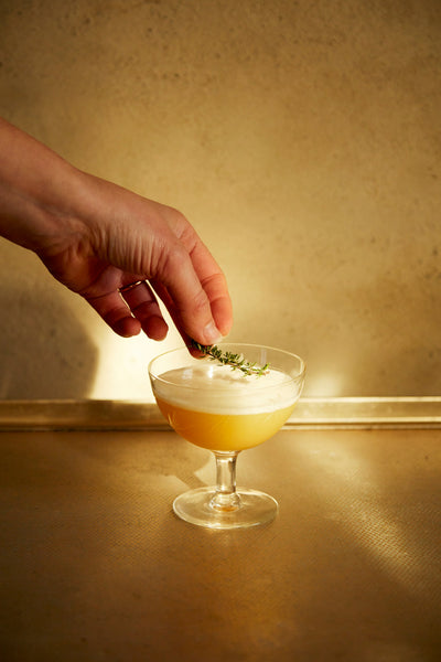 Mother Root Ginger Switchel | Award Winning Fiery Fresh Alcohol Free Aperitif With Re Energising Ginger Acv Bold Delicious Flavours Mix With Tonic Or Soda Up To 20 Drinks 480ml 480 Ml Pack Of 1