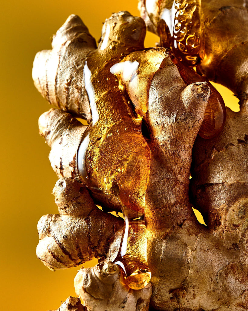 Magn Root The Natural Ingredients That Give Mother Root Its Kick – MOTHER ROOT