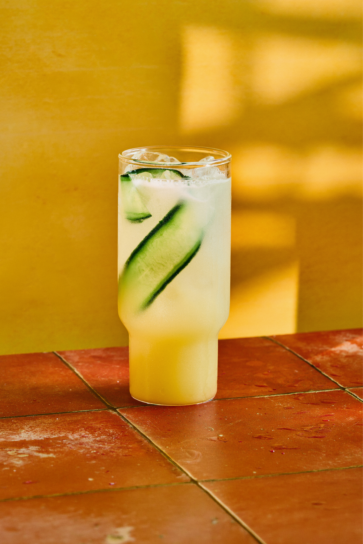 A refreshing glass of Mother Root, garnished with fresh cucumber, catching the golden light.